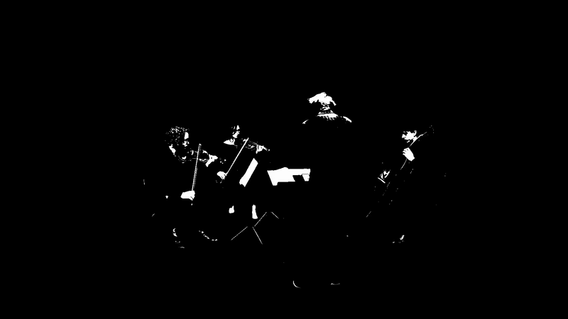 Noire Strings Animation